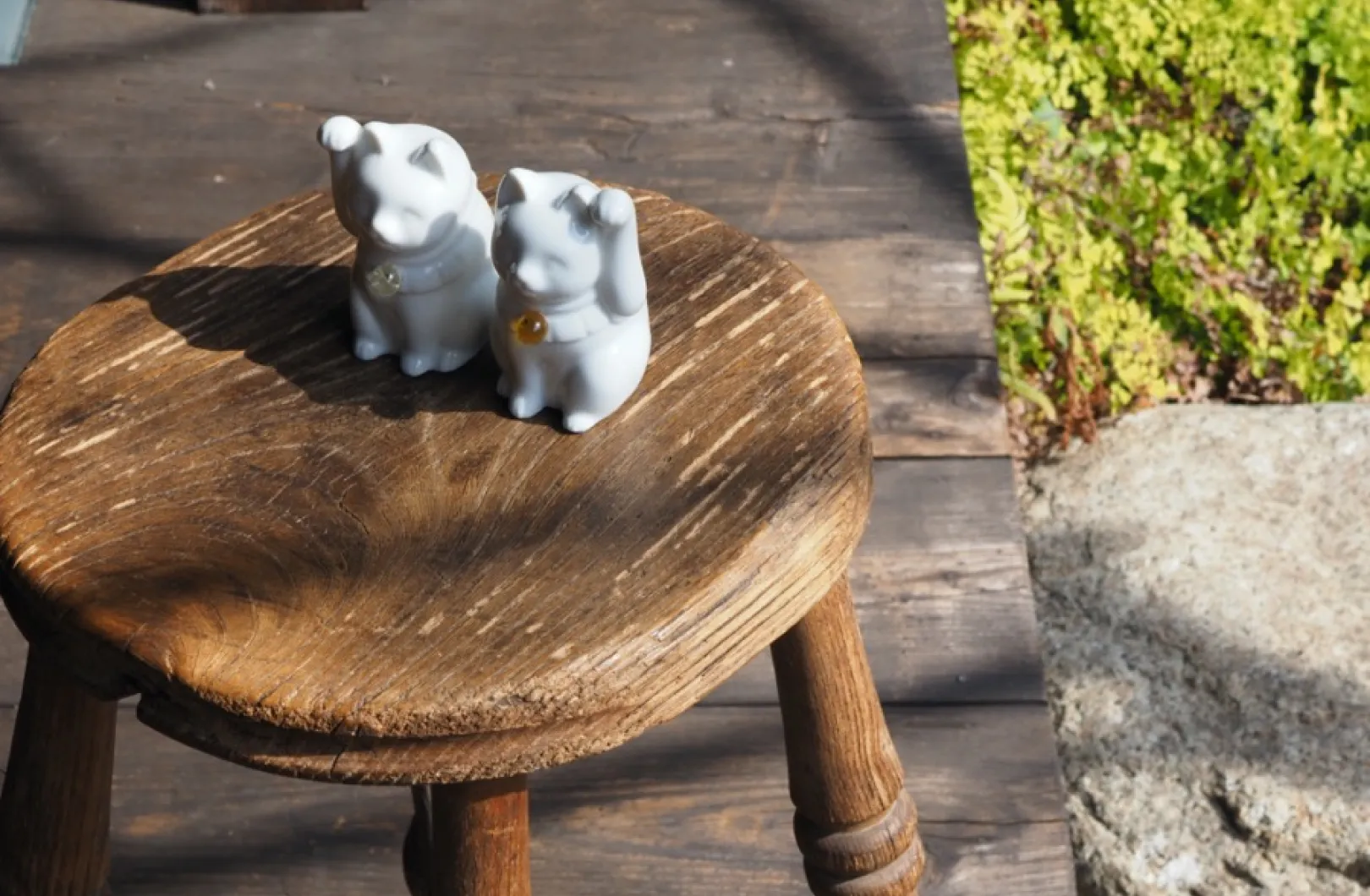 招き猫の飾る位置や向きで運気が変わる?|風水的におすすめの場所を解説