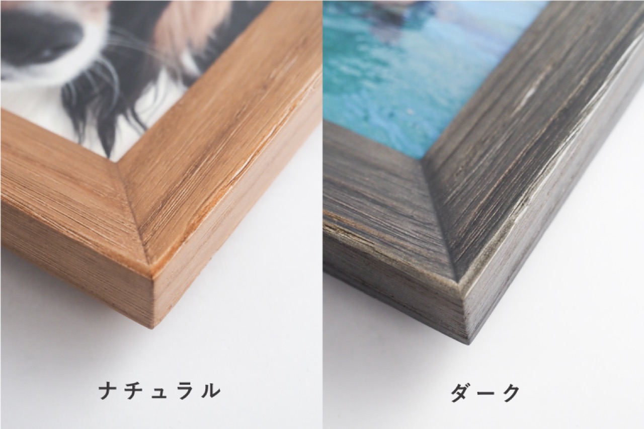 9月12日（火）より販売開始！